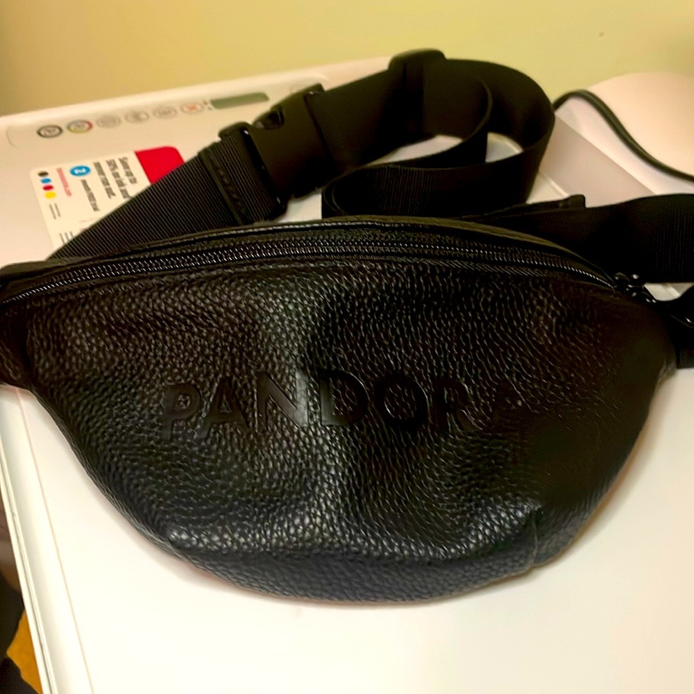 Pandora Belt Bag.